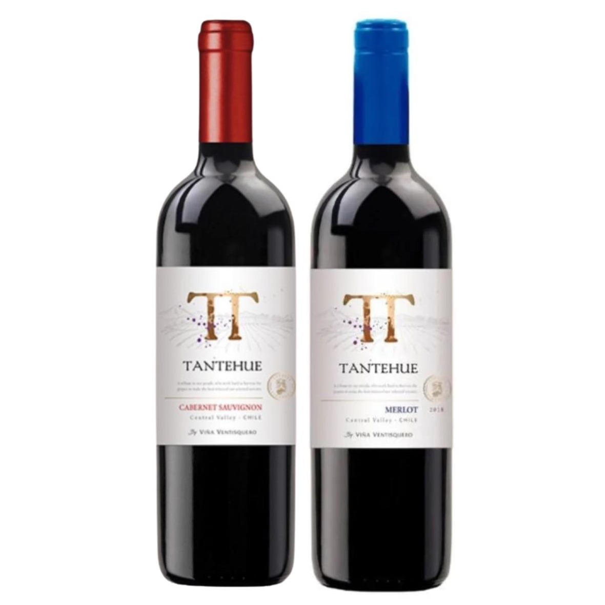 Dupla Chilena Tantehue Cabernet Sauvignon + Merlot