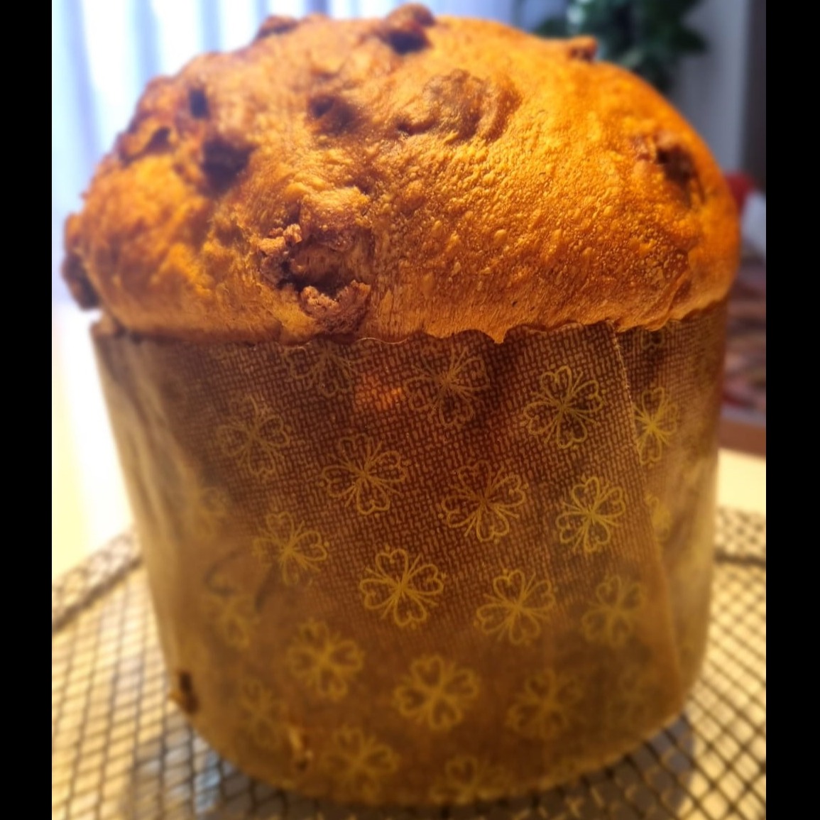 CHOCOTTONE CHOCOLATE VEGANO ZERO LACTOSE 500g