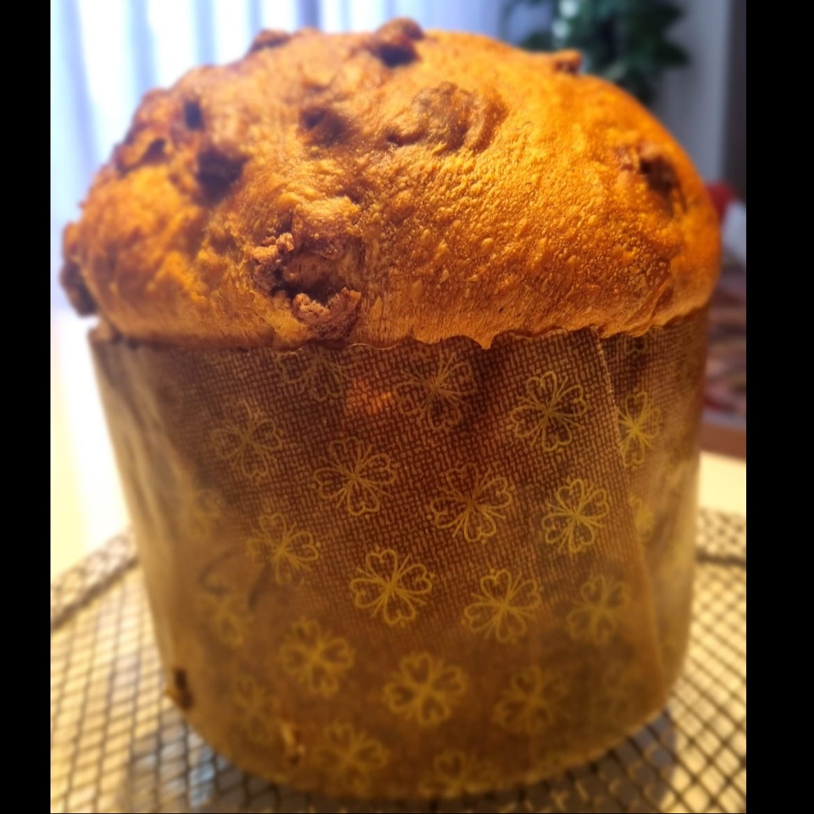 PANETTONE FRUTAS CRISTALIZADAS E PASSAS 500g