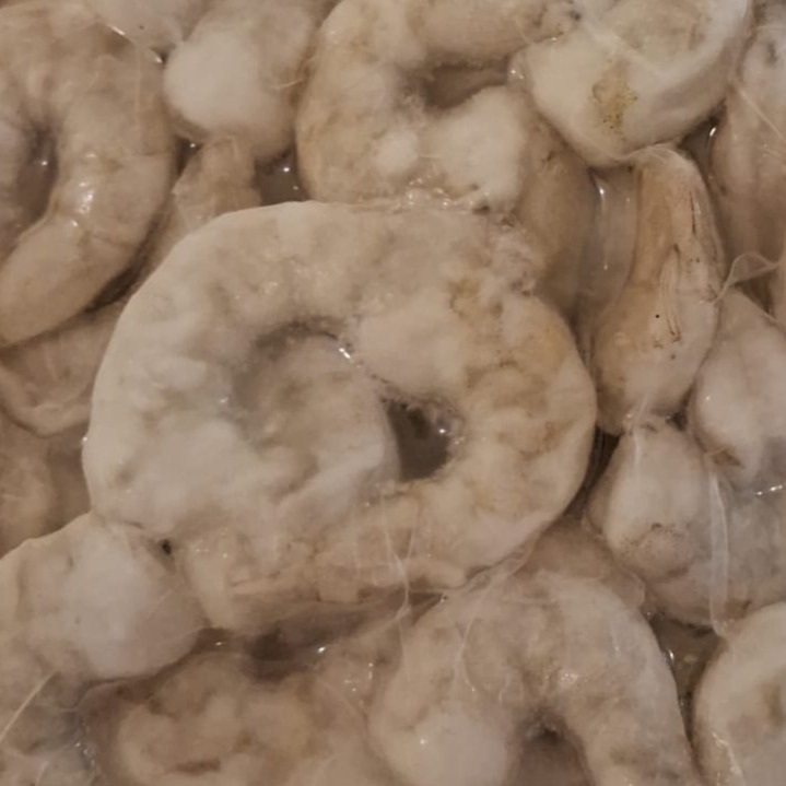 CAMARÃO CINZA 41/50