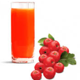 Suco de Acerola 400ml