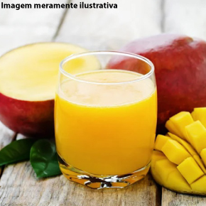 Suco de Manga 400ml