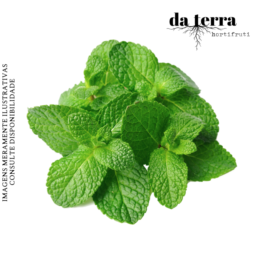 Hortelã Fresca (maço)