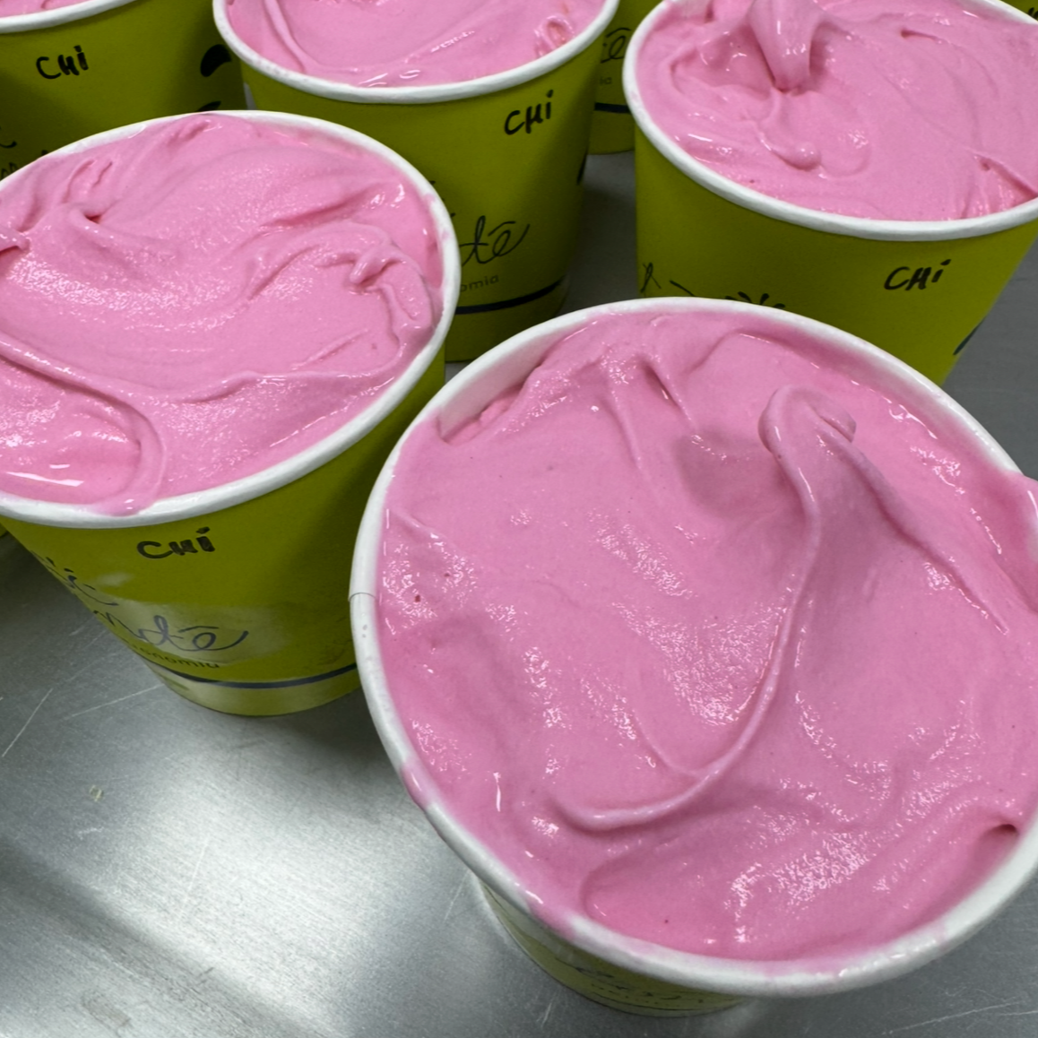 Gelato de Chiclete 500mL