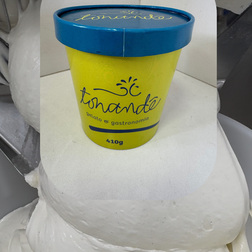 Gelato de Baunilha French 500mL