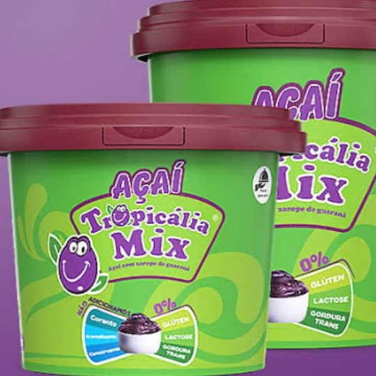 Pote de açai 1litro