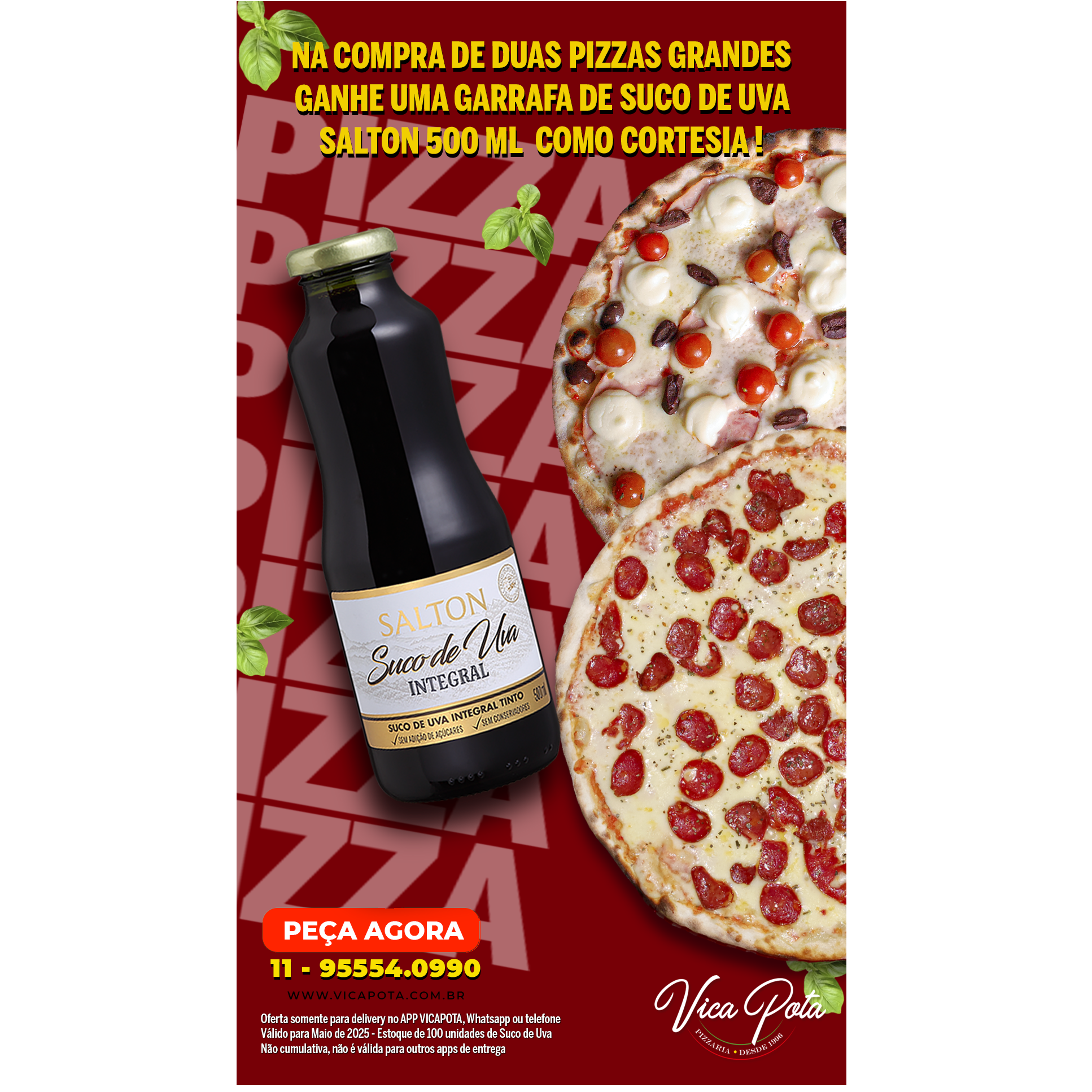 PROMO: Comprando 2 Pizzas Tamanho Grande, de brinde enviaremos um Suco Salton de 500ml