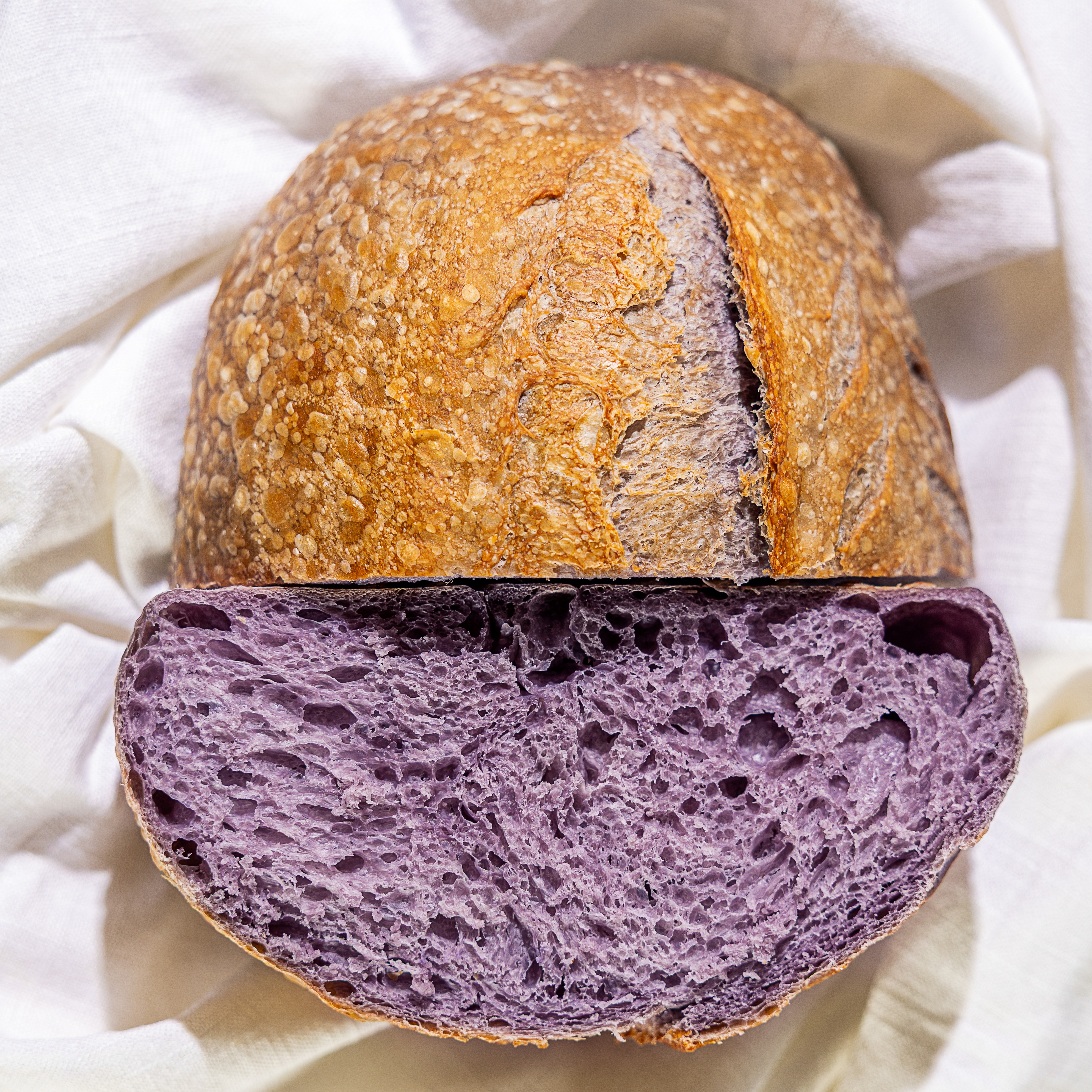 FLOR AZUL (flor de clitória)