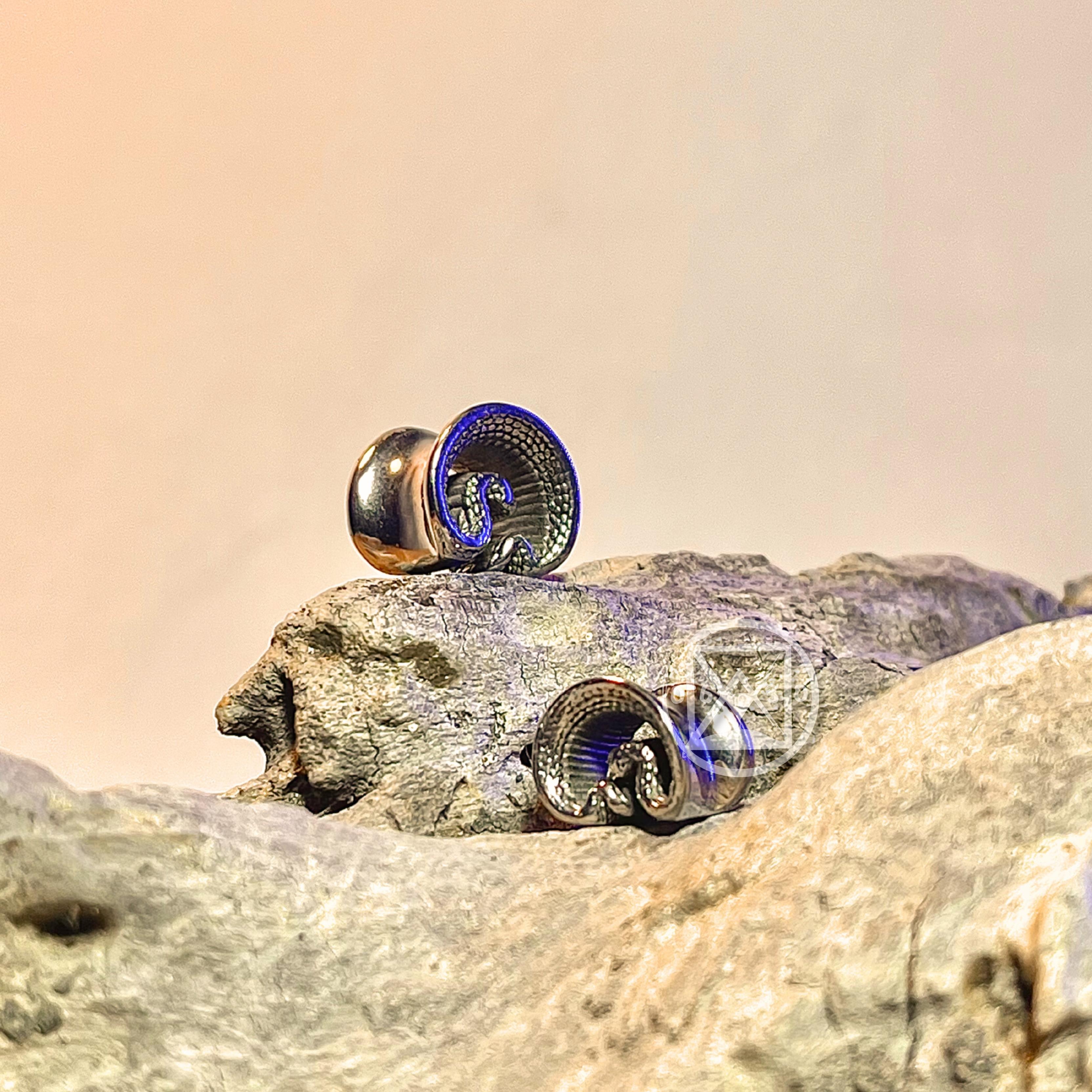 JÓIA AÇO ALARGADOR COBRA 