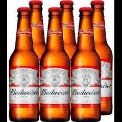 Budweiser 330ml pack c/6 un