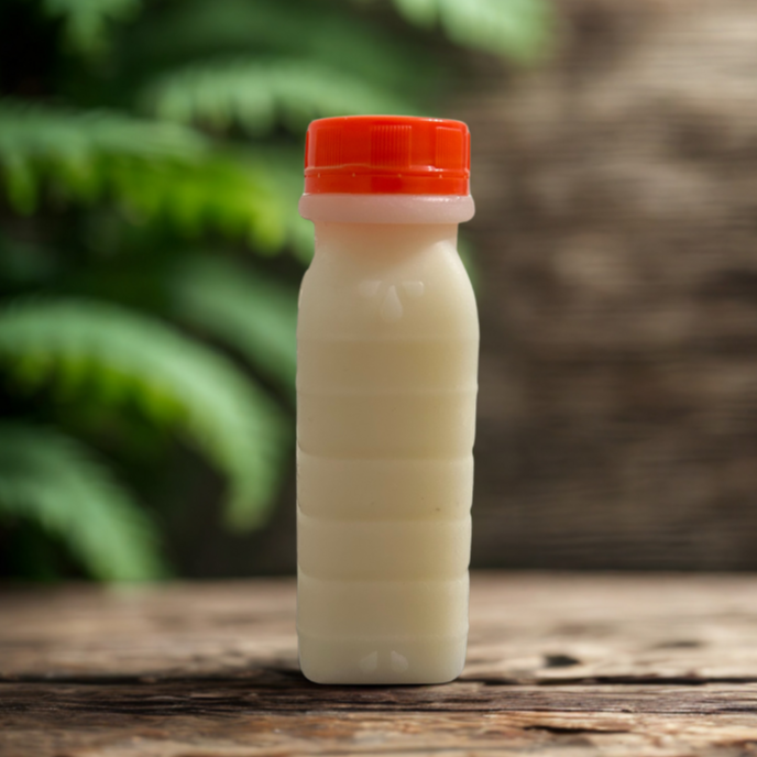 SUCO DE BACURI - 200 ml