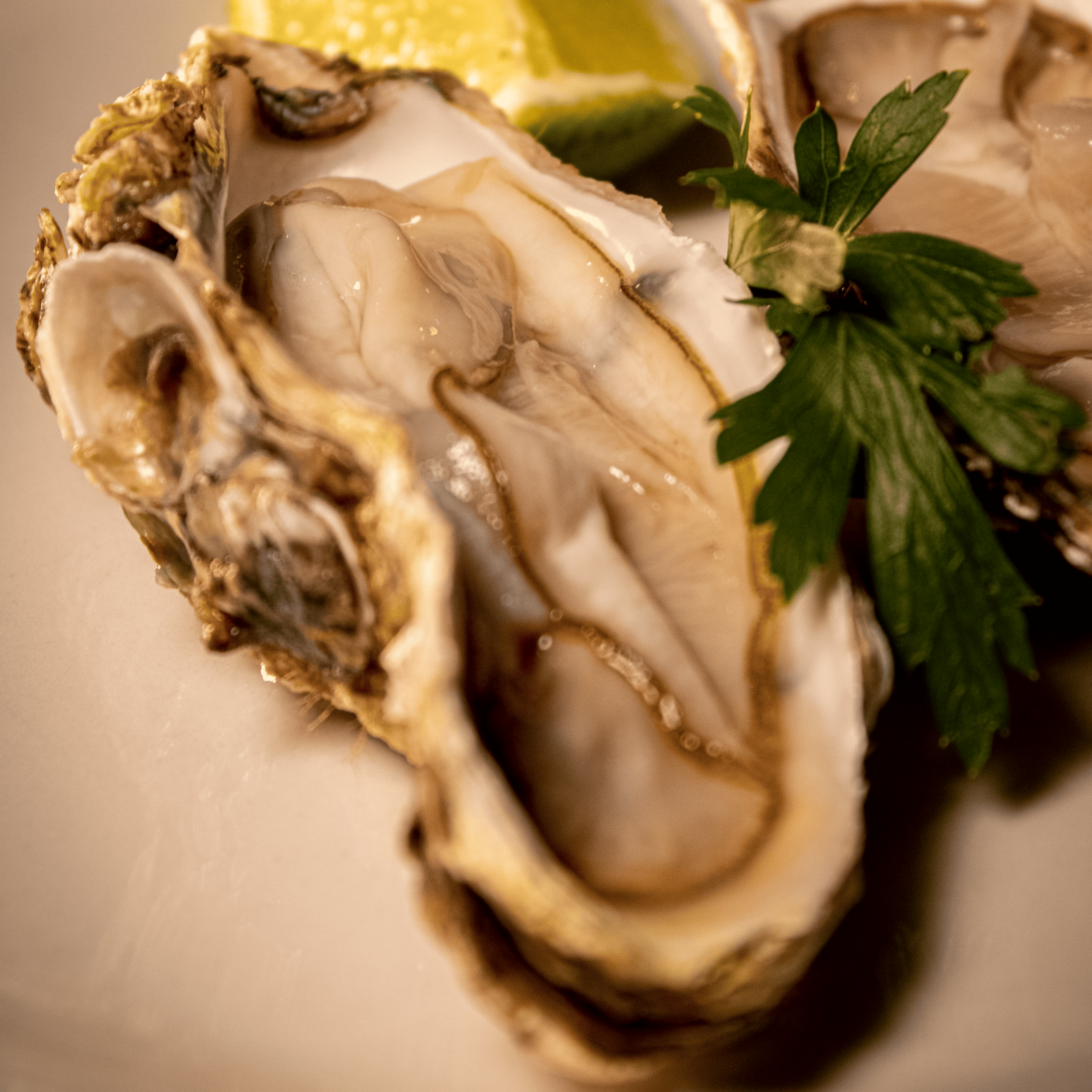 Ostras Frescas ou no bafo (06 und.)