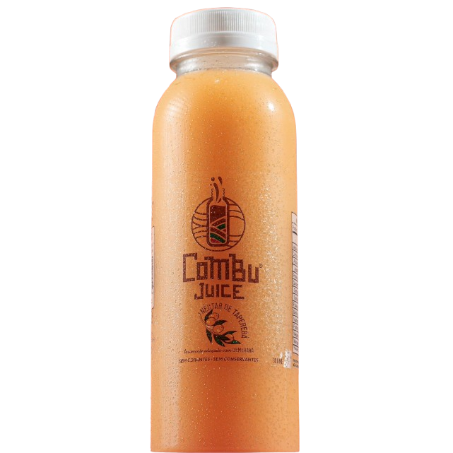 Suco de Taperebá Combu Juice 300ml