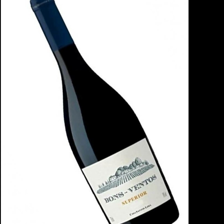 Vinho Tinto Bons Ventos Portugal 750 ml