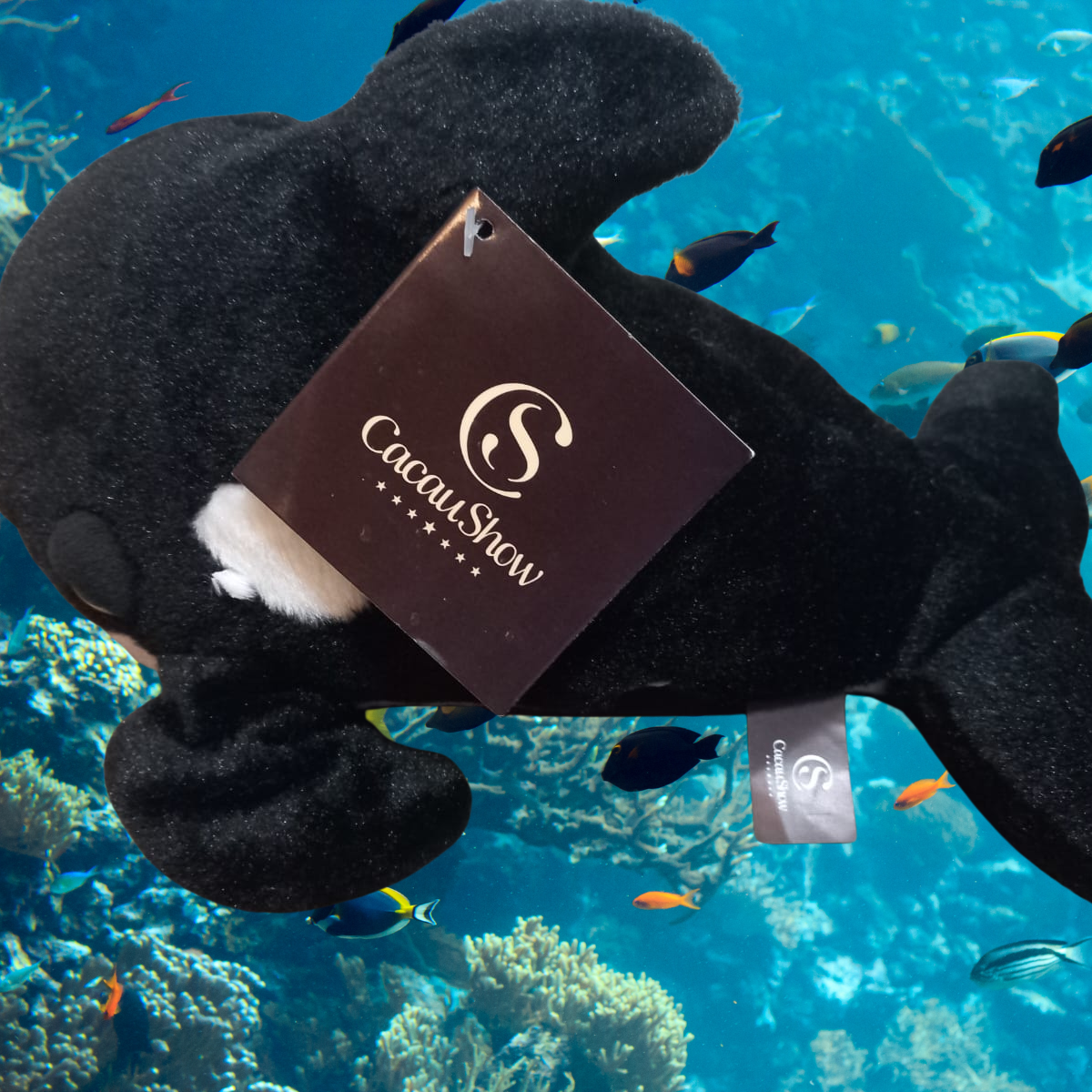 Pelúcia Fantoche  Baleia