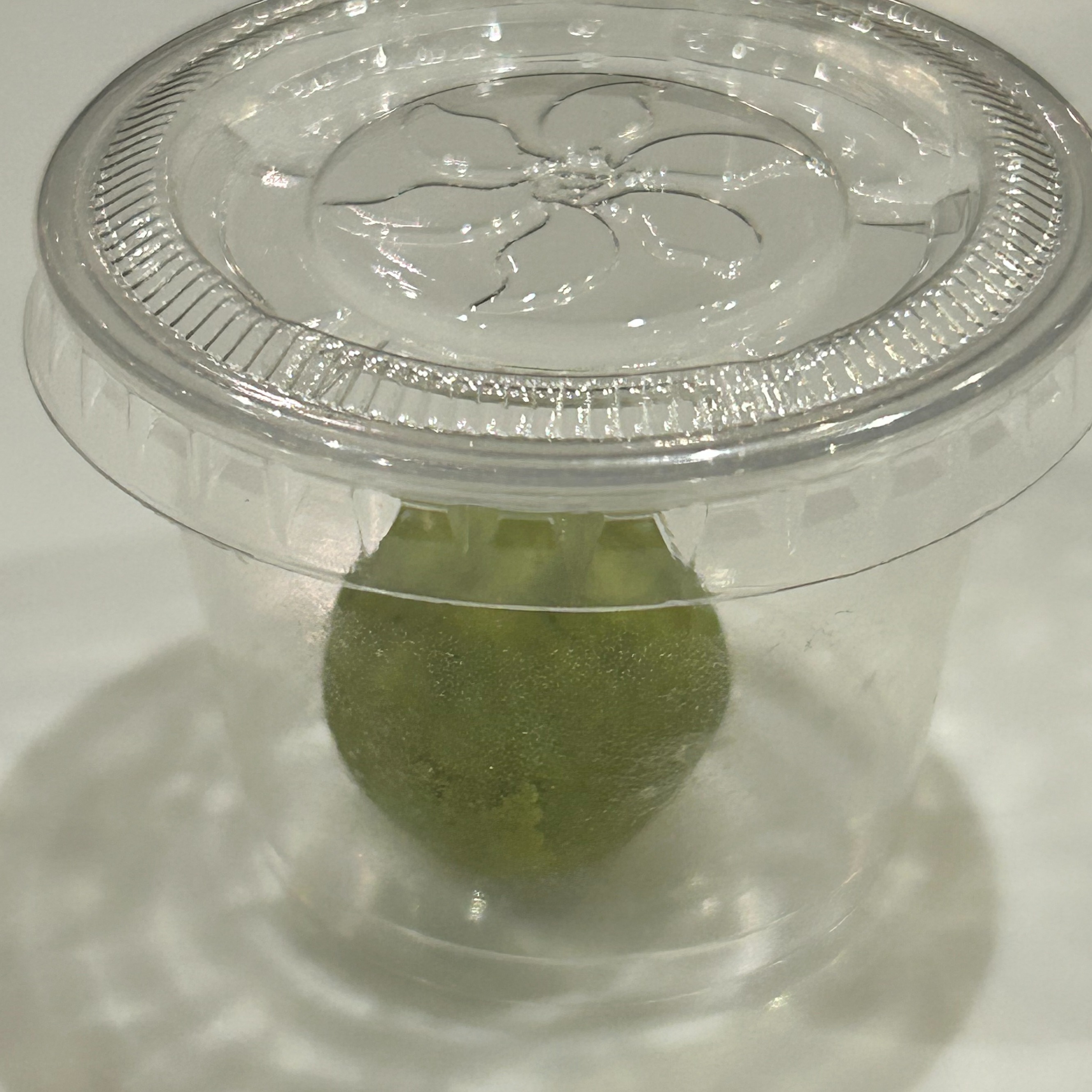 WASABI