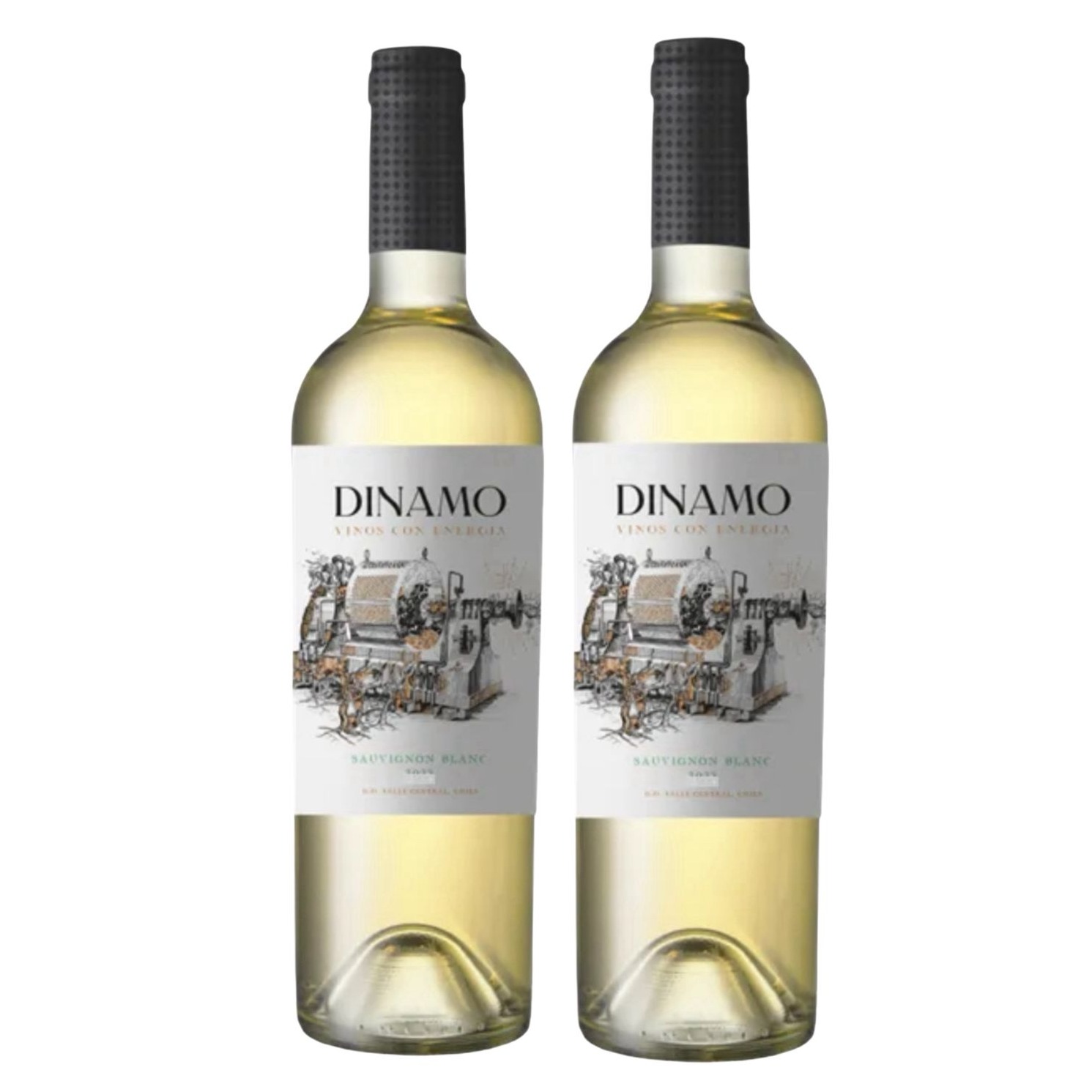 Dupla Chilena Dinamo Sauvignon Blanc