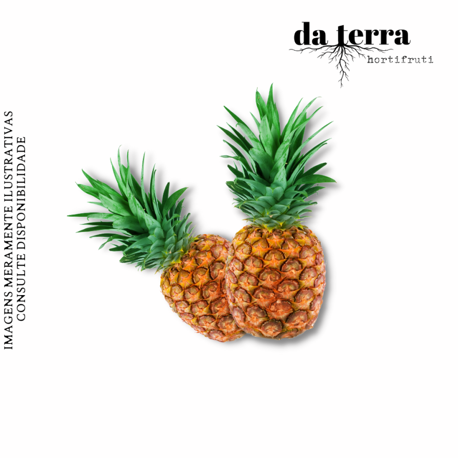 Abacaxi Terra de Areia