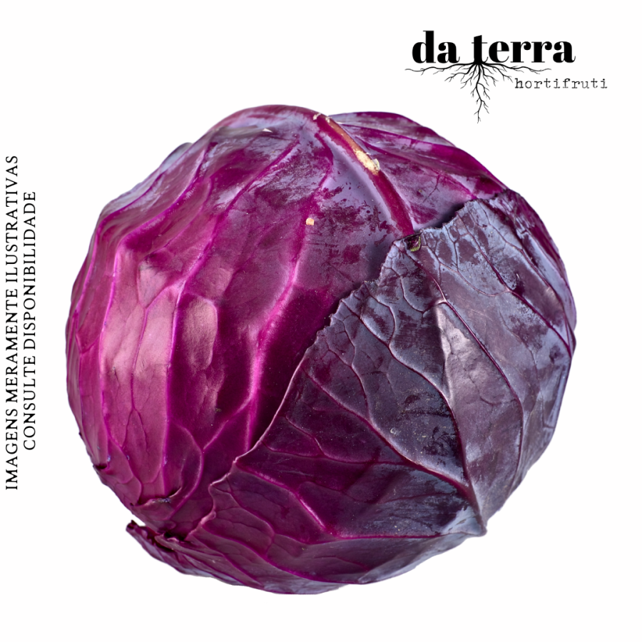Repolho Roxo