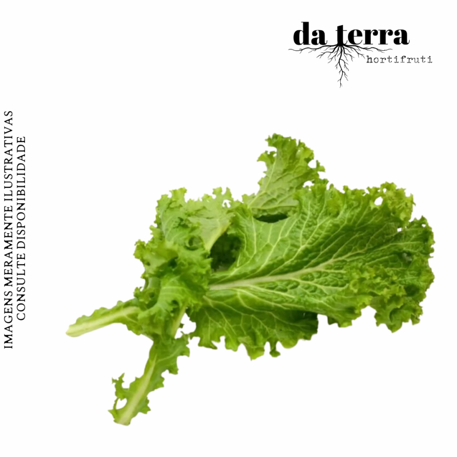 Mostarda - DISPONÍVEL SOB ENCOMENDA