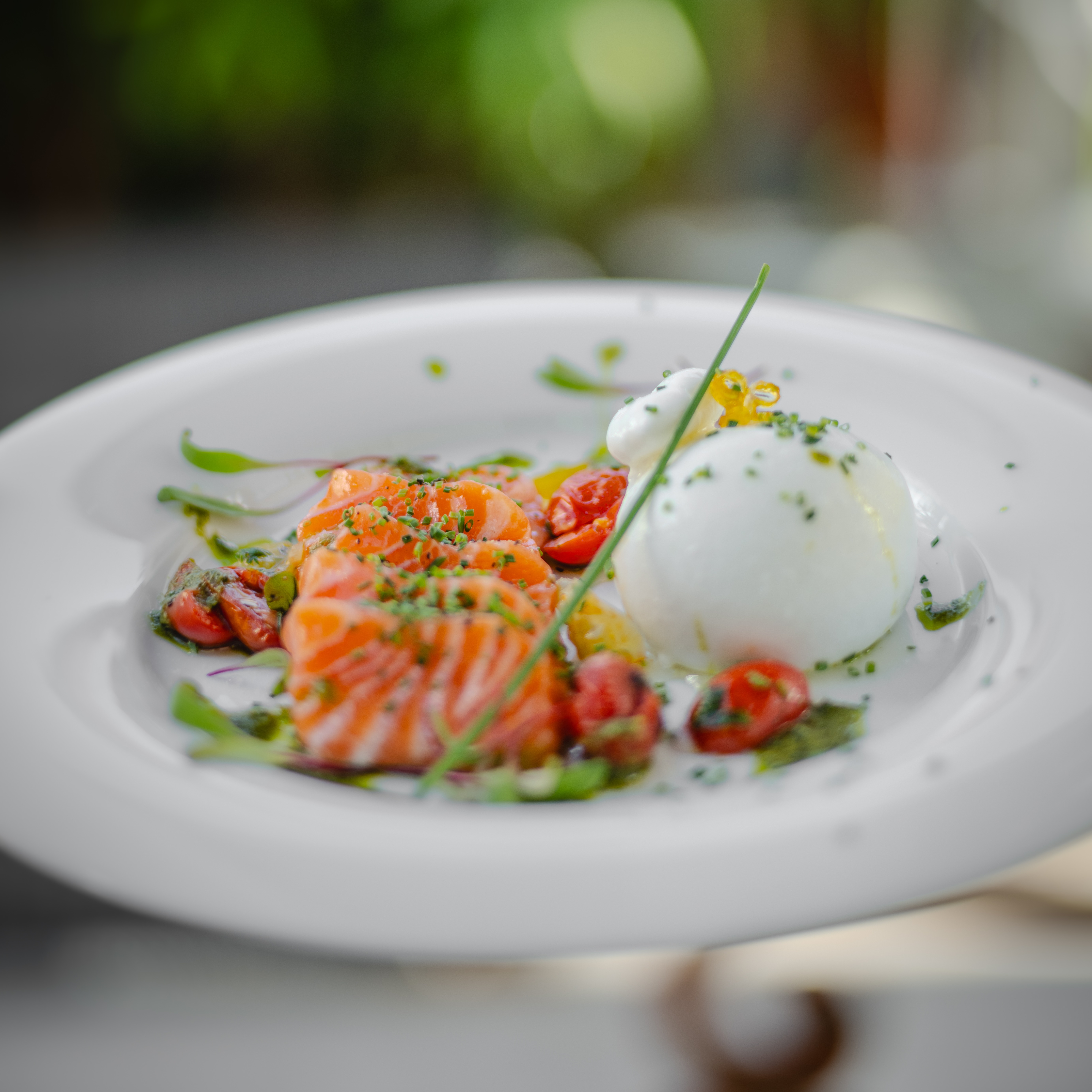 Burrata com Salmão Gravlax