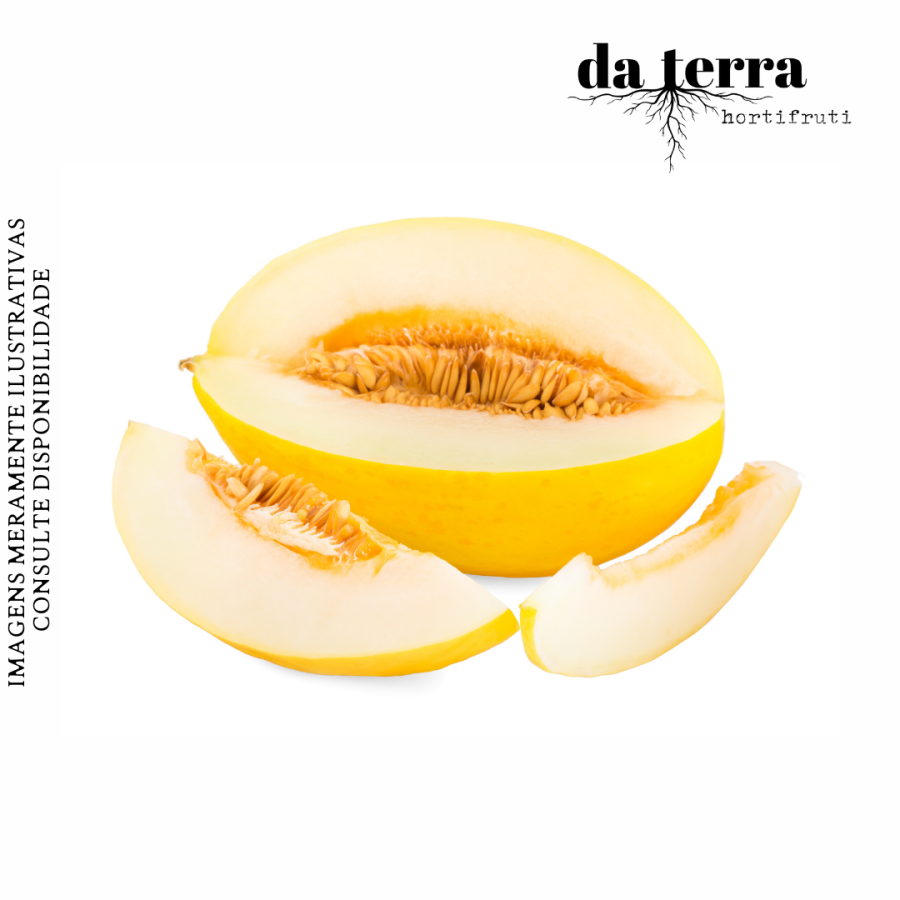 Melão Espanhol UNIDADE