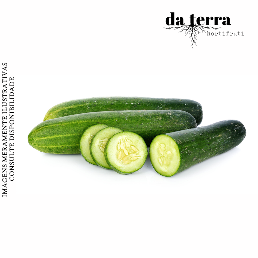 Pepino Japonês UNIDADE