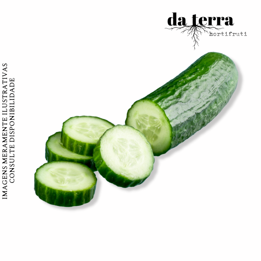 Pepino Salada UNIDADE