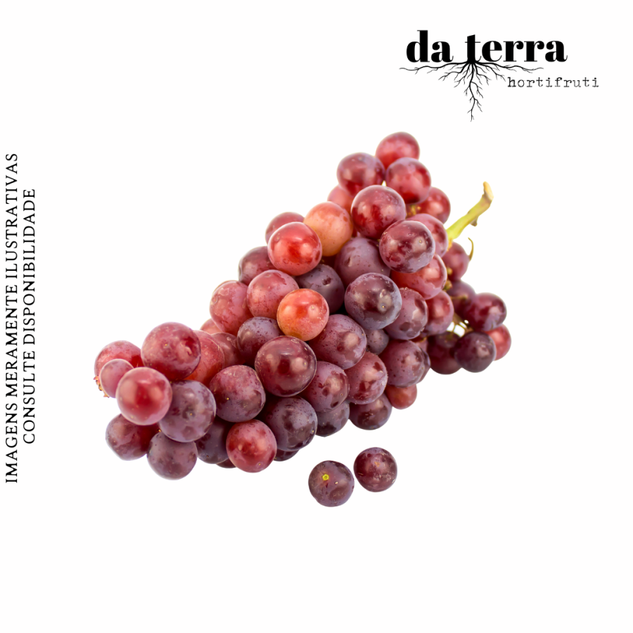 Uva Dedo de Dama UNIDADE