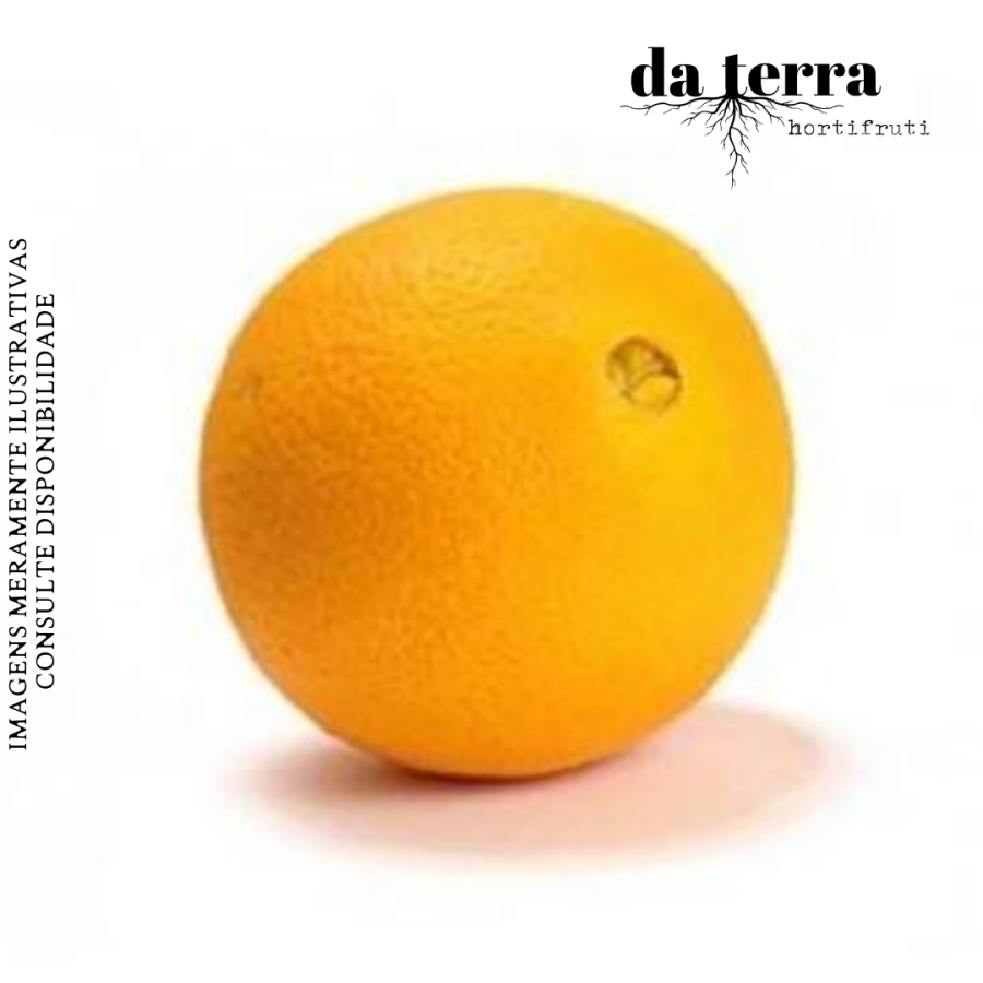 Laranja de Umbigo Nacional UNIDADE