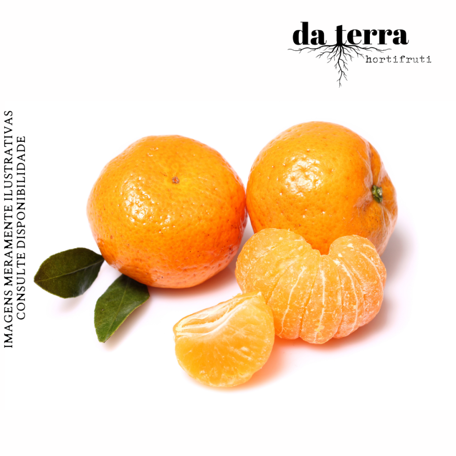 Bergamota Morgote UNIDADE