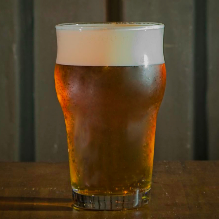 APA | Growler com 1L 