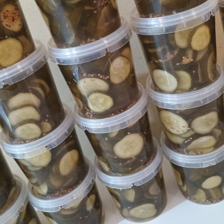 PICLES DE PEPINO NOVIDADE