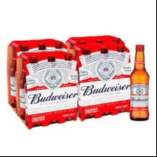 FD BUDWEISER LONG NECK 330ML C/ 24UN
