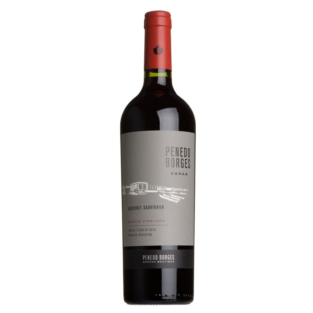 Penedo Borges Single Vineyard Cab. Sauv. 2020