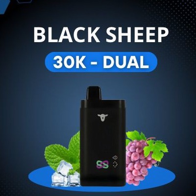 BLACK SHEEP DOIS SABORES - 30K