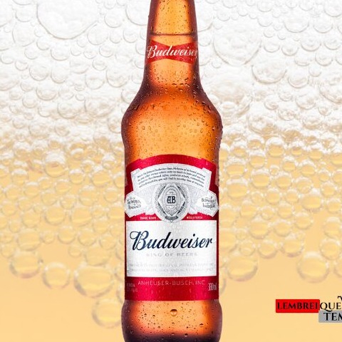 03 unid Cerveja Budweiser 330 ml 