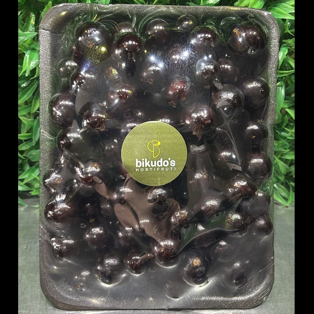 JABUTICABA HIGIENIZADA BDJA
