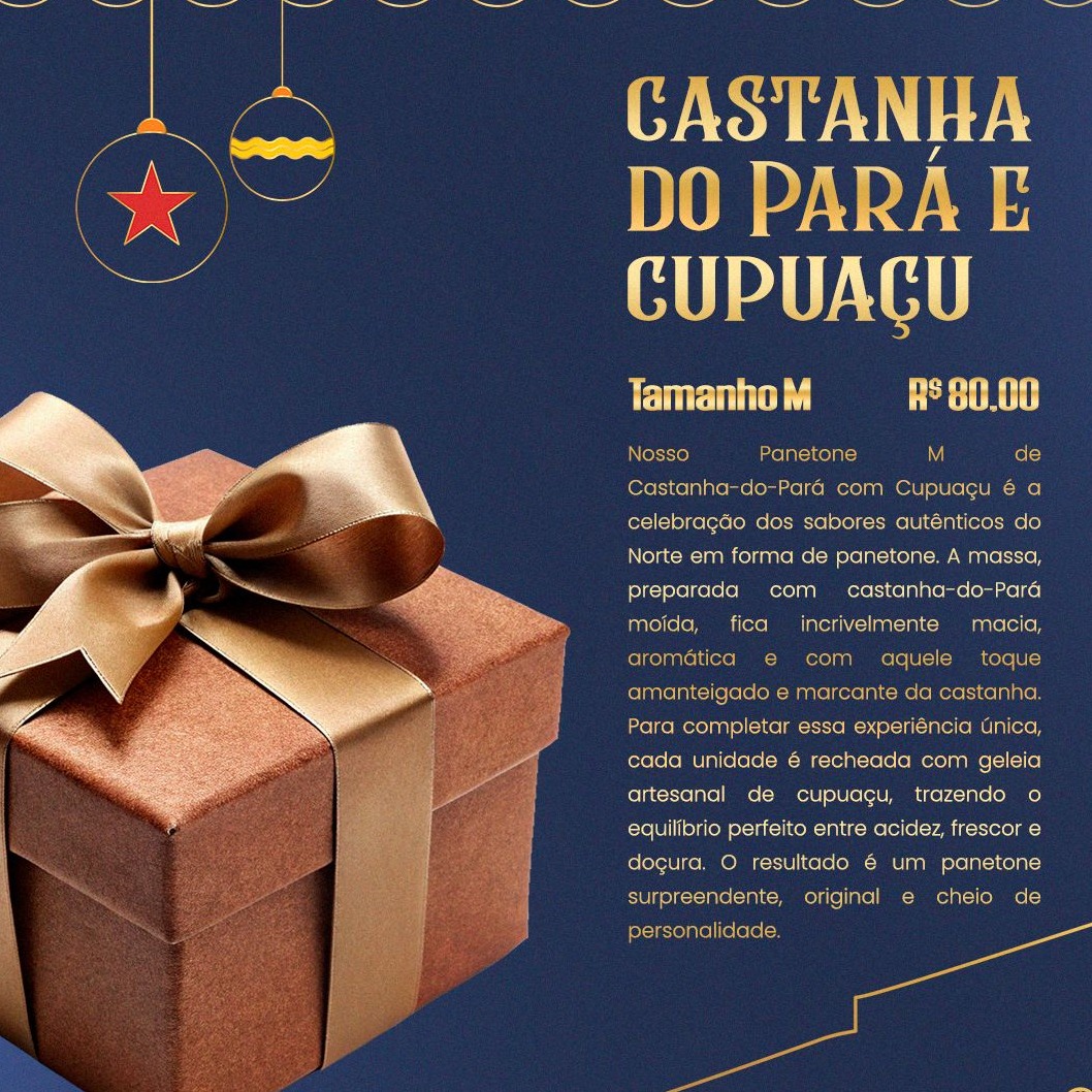 Panetone Castanha do Pará e Cupuaçu (M).