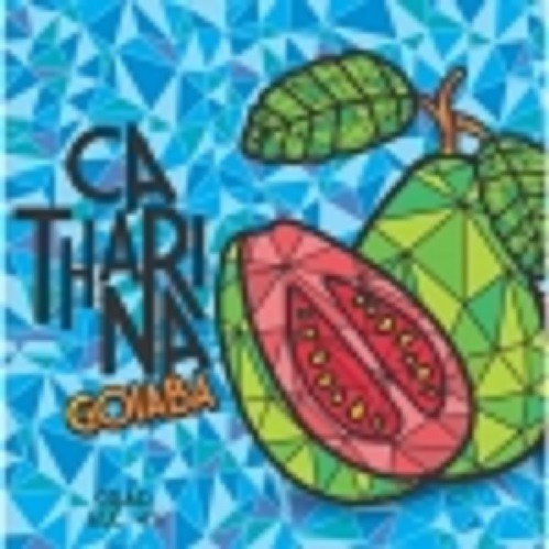 17- Mistura Classica - Catharina Sour Goiaba