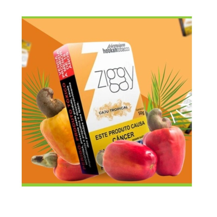 ESSENCIA ZIGGY CAJU TROPICAL
