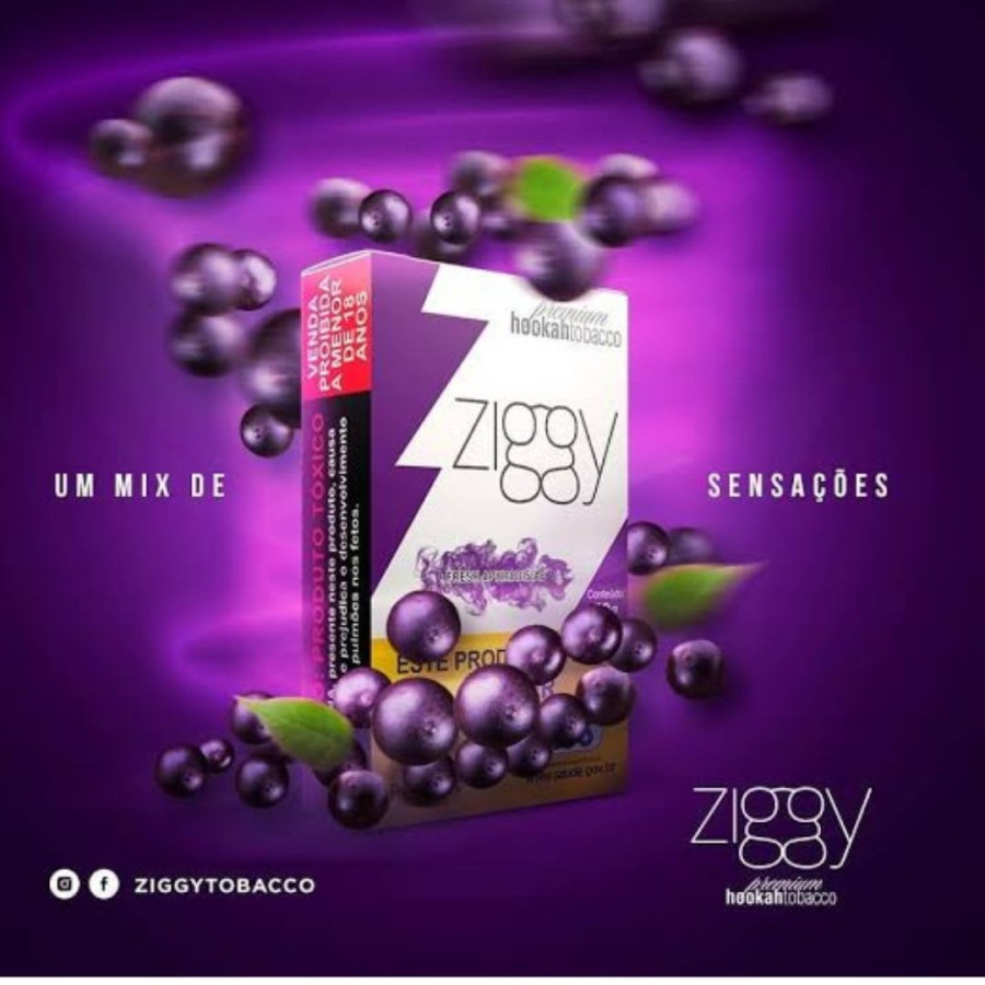 ESSENCIA ZIGGY FRESH AÇAI