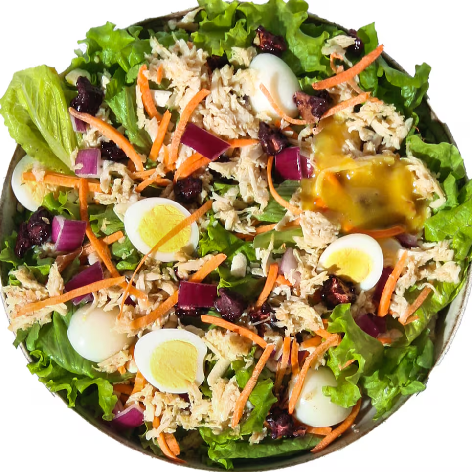 Hoje eu começo: salada de frango desfiado