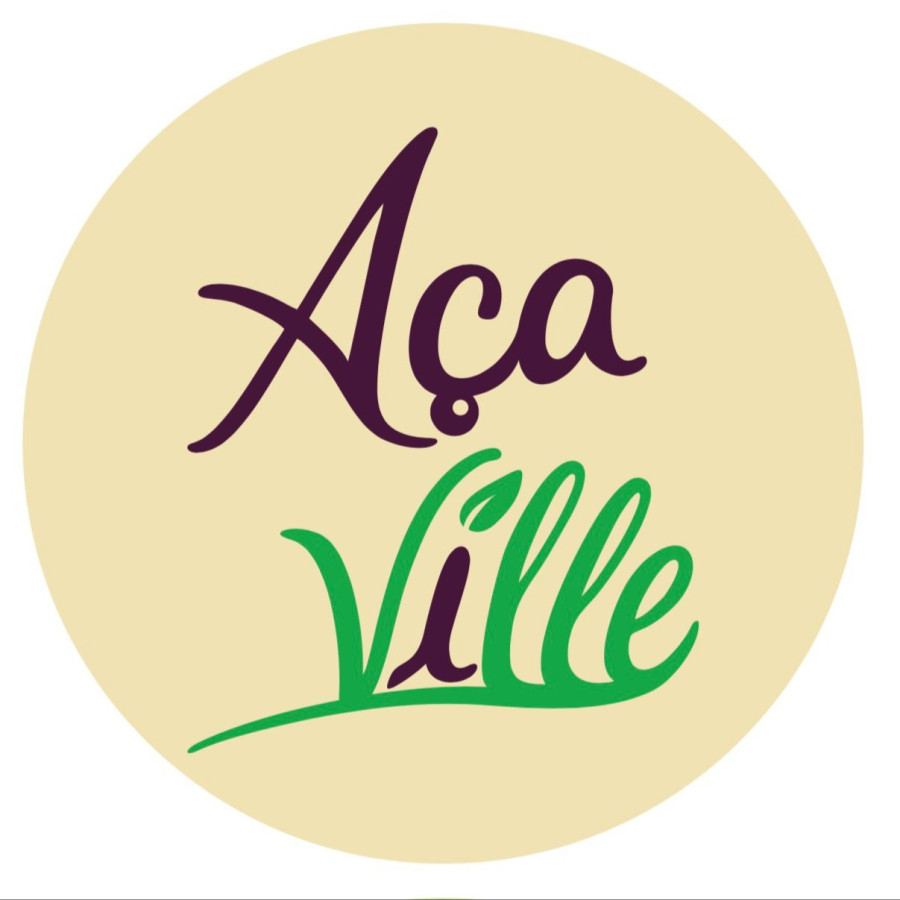 Açaí Pote 450gr Intermediário