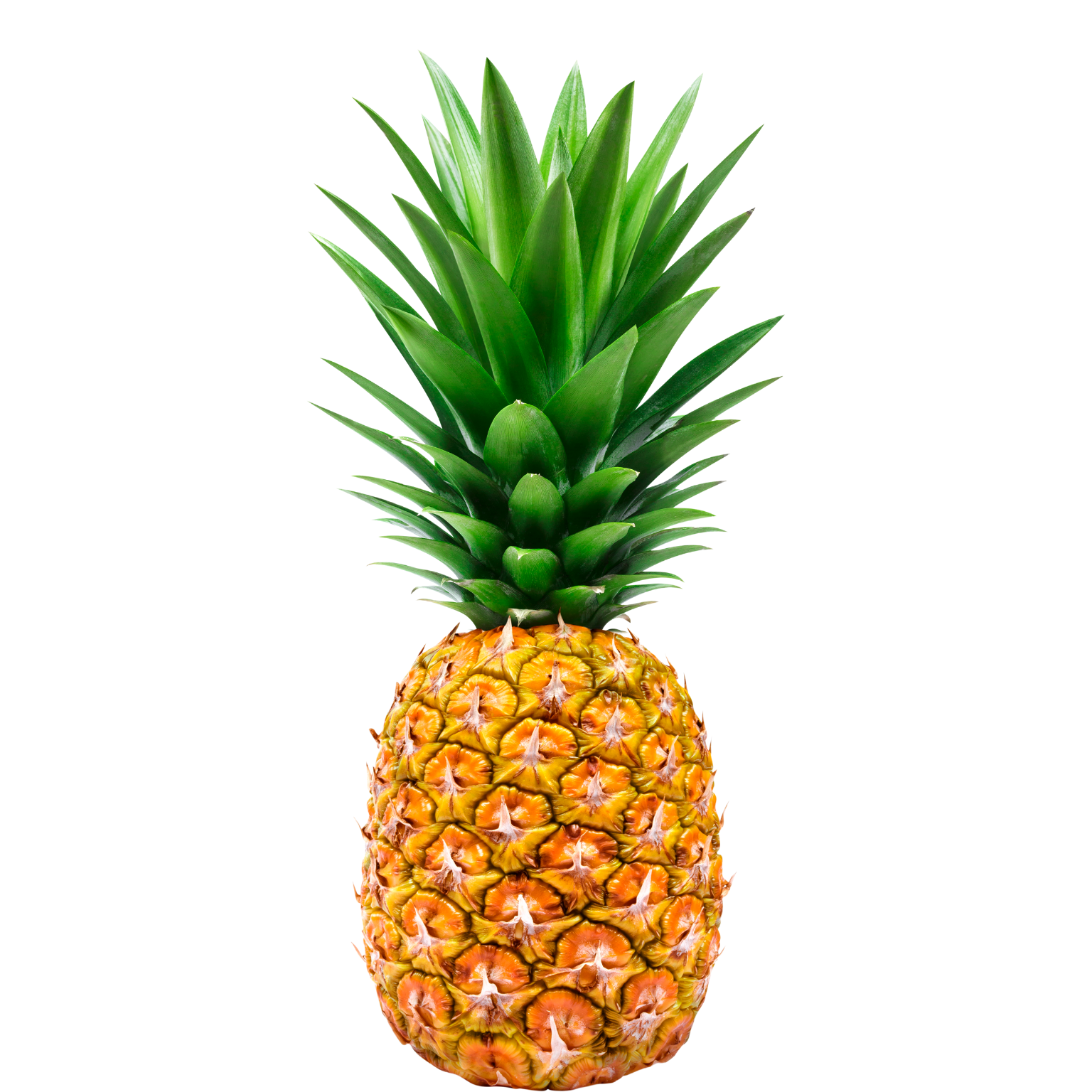 Abacaxi pérola - unidade