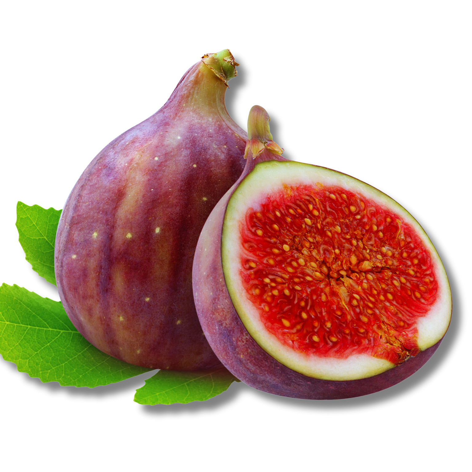 Figo (Produção própria)