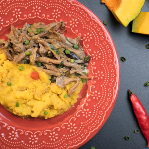 ESCONDIDINHO DE SHIITAKE E SHIMEJI COM PURÊ DE CABOTIÁ NÃO CONTÉM GLÚTEN.350G