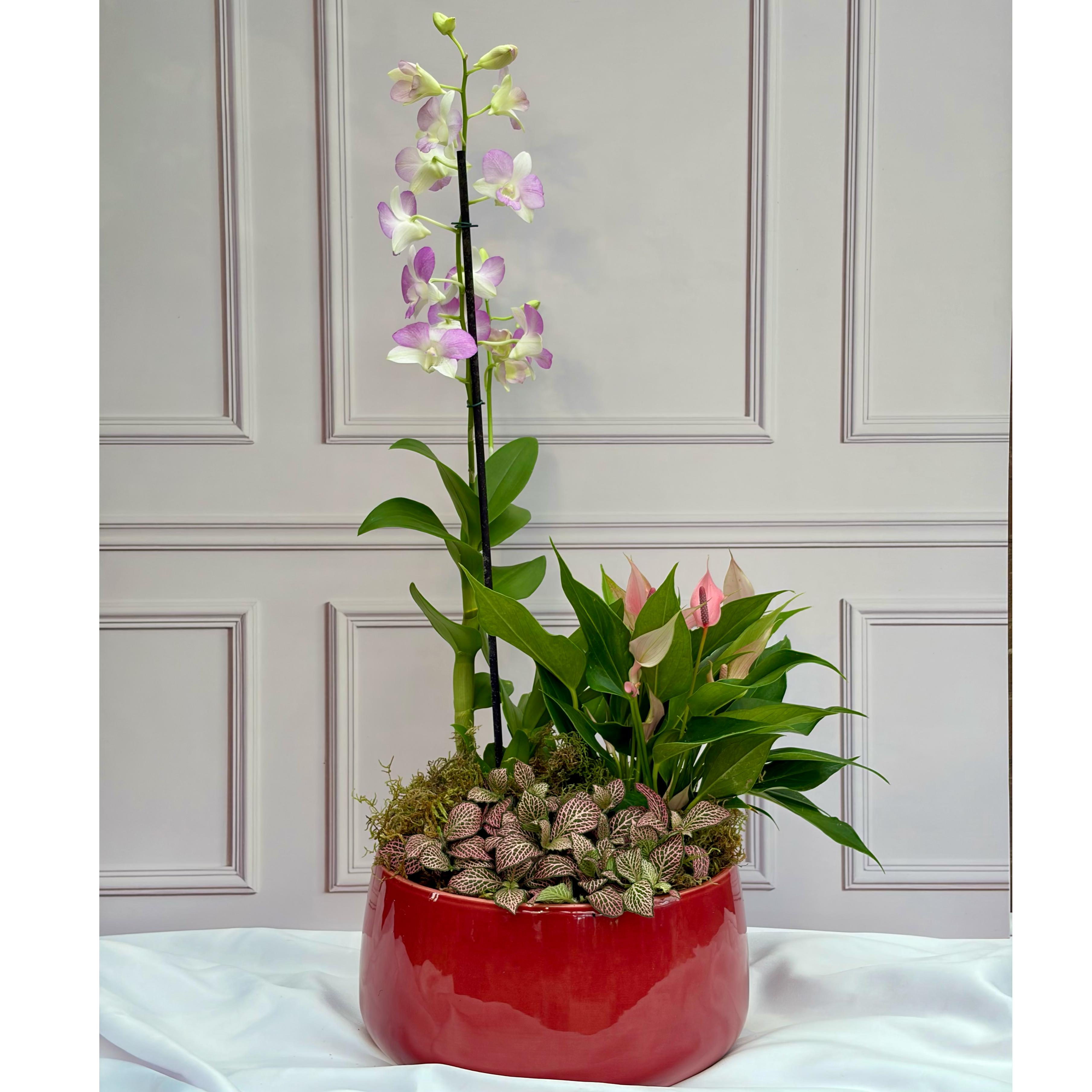 Arranjo de Orq. Denphal na bacia goiaba