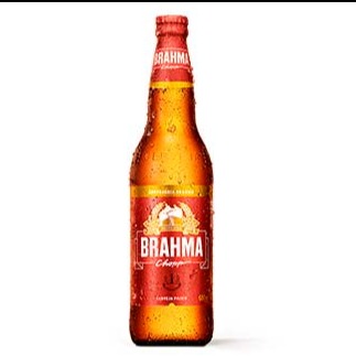 Cerveja Brahma 600ml