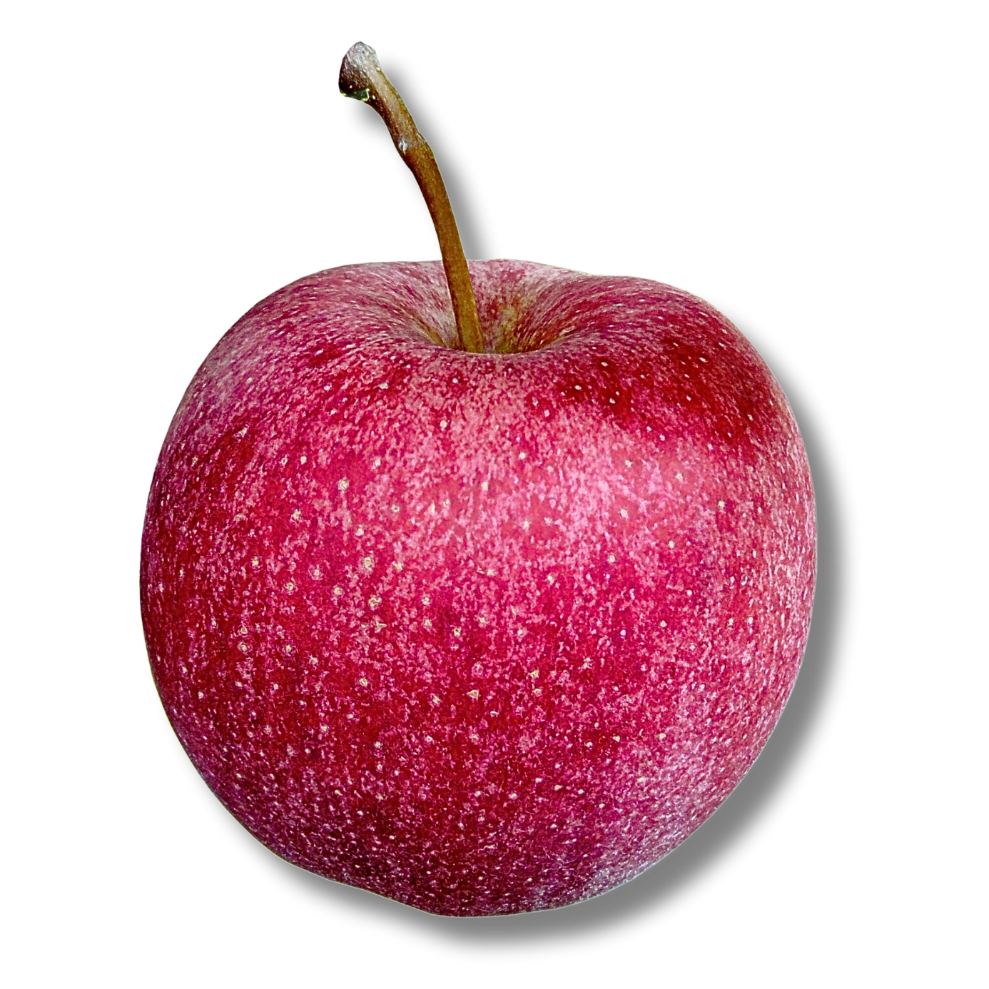 Maçã fuji - unidade